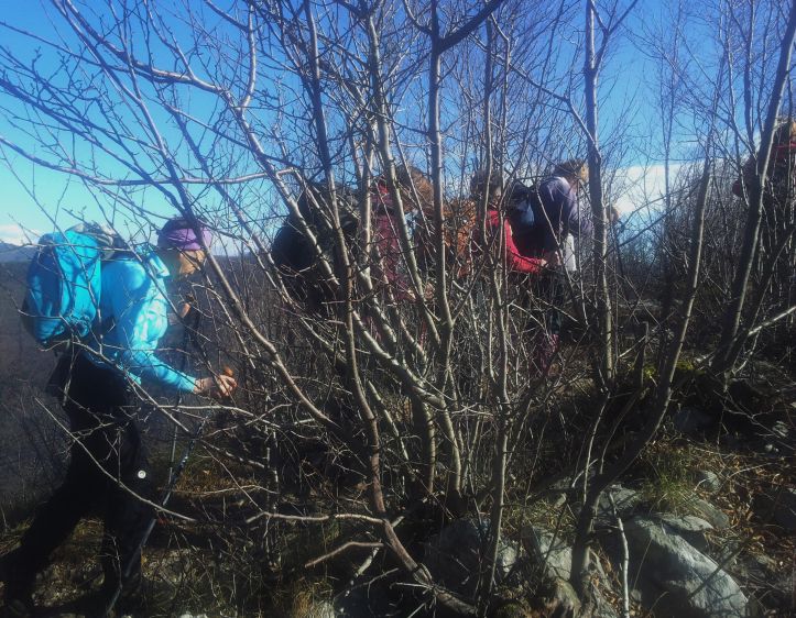 Sabotin in Devin, sobota 20.februar 2016 